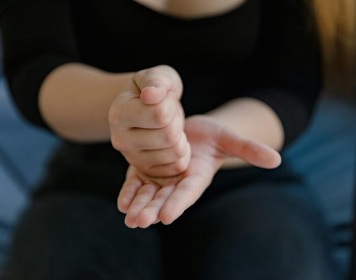 Langue des signes TRANSCOM CONSULTING GROUP